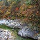 숲과계곡속으로 이미지