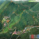 대관령자연휴양림 이미지