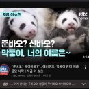 ㅁㅊ 바오가족 큰일났다 이미지