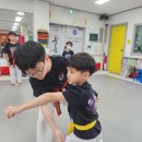 늘품태권도 이미지