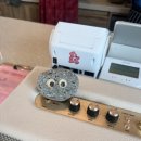 현충원로(유성-20) 이미지