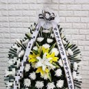 맑은샘병원 이미지