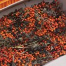 윤효경농장 이미지