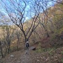 오천 이미지