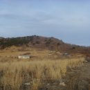 서샘물목장 이미지