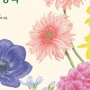 색연필로 그리는 꽃, 보태니컬 아트 이미지