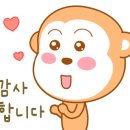수영 센텀부동산 공인중개사사무소 이미지