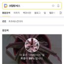 단정원 이미지