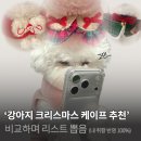 모멘티브 | 강아지 크리스마스 케이프 추천 취향 따라 고른 리스트