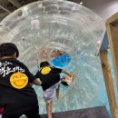 용인대백운태권도 이미지