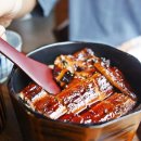 다산 맛집 우나기칸, 남양주 다산 맛집에서 즐기는 인생 히츠마부시와 스테키동