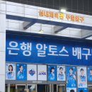 2024-2025 여자배구 241130 IBK 기업은행 vs 정관장 직관후기