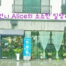 햇살고운카페