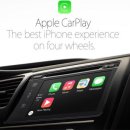 현재오토카 이미지