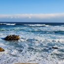 초곡민박 이미지