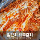 상큼한 여름김치 | 전라도식 김치 추천 국내산 김앤치 배추김치 솔직 후기