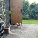 보리목장2 이미지