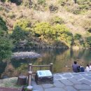 천지연산책로(폭포안) 이미지