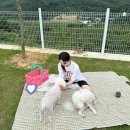스테이 한가로이 두번째 네이버블로그