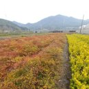 오성농원 이미지