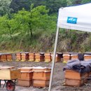 천연농장 이미지