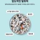 미유박스 고양이모래 벤토나이트 23.6kg(11.8kg x 2개) 59,900원 이미지