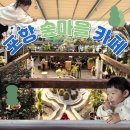 임산물직매장 | 대구근교 아이랑 가기 좋은 대형 카페｜포항 숲마을 카페 한식뷔페 식물원 야외놀이터 유기견센터