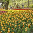 용비쉼터 이미지