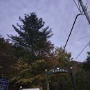 소백산 남천야영장2 이미지