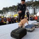배내골사과정보화마을 이미지