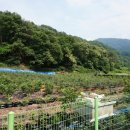 수청농장 이미지