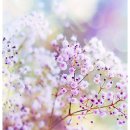 파크뷰테라스 이미지