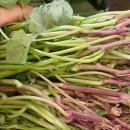 우종은농장 이미지