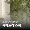 [강남 안면 비대칭 관리] 시머트리스파에서 얼굴 균형 맞추고 온 솔직 후기!