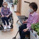 제일대학길 이미지