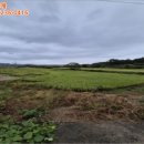 곡성-182 네이버블로그