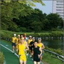 정발산공원 화장실-1 이미지