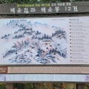녹차밭과 전통원림이 자연 그대로 어우러진 곳, 강진 백운동원림(정원)