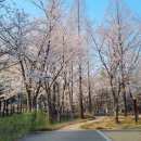 왕길근린공원 이미지