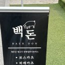백돈 | 장한평역 돈까스 맛집 백돈 내돈내산 후기