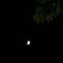 아리노래연습장 이미지