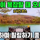 [영 상]남양주 오남저수지 둘레길 4km 트레킹! 오남호수공원 | 마음 복잡할 때 물멍하며 힐링하기 | 트레킹 코스 추천 이미지