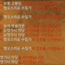 보물고블린 | 적개심 / 으스스한 인장 맵 / 고블린 떼 후기