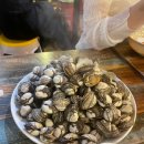 서울참새 이미지