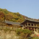 부석사+선비촌+소수서원/경북 영주시