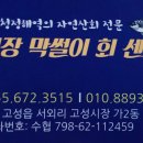 막썰이회센타