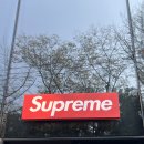 Supreme도산 이미지