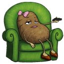 카우치포테이토(Couch Potato)