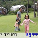 로얄카바나 이미지