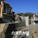 합천명품토종흑돼지 이미지